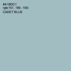 #A1BDC1 - Cadet Blue Color Image